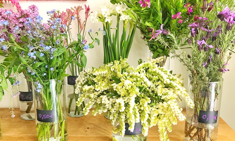 Bon-plan-fleurs-paris-peonies